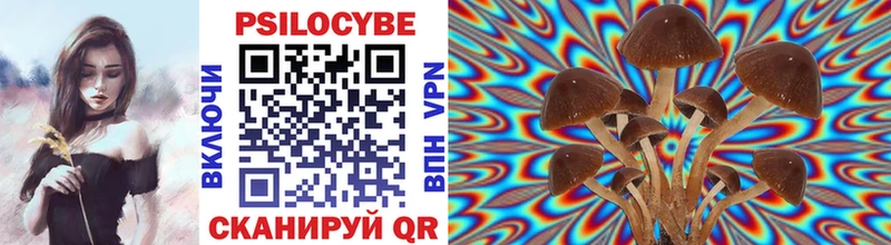 Галлюциногенные грибы прущие грибы Николаевск-на-Амуре